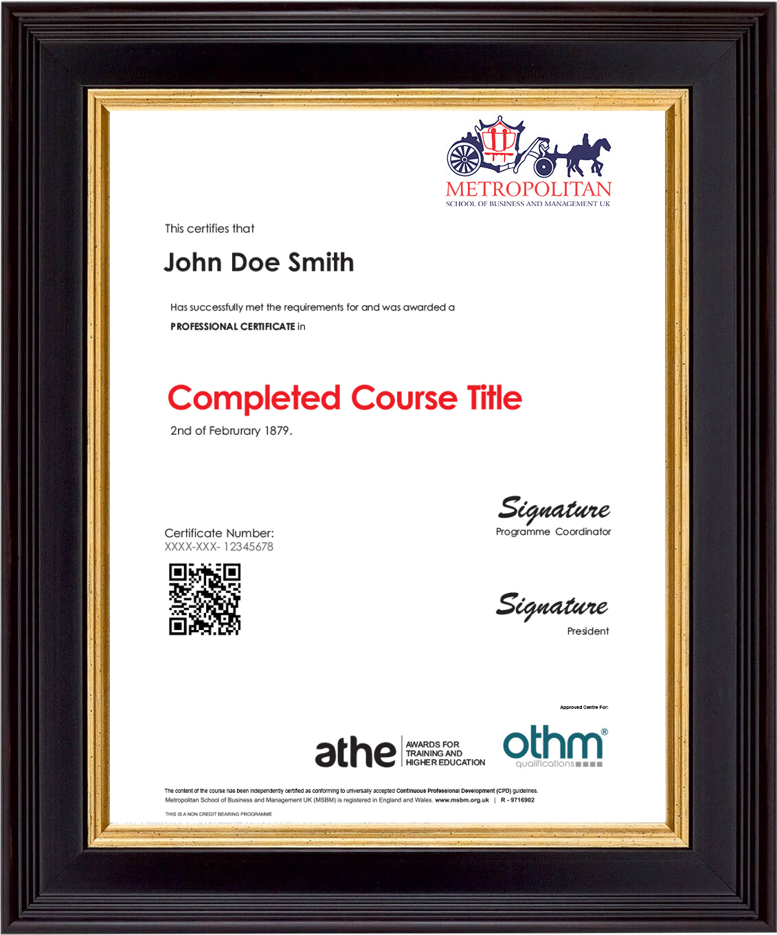 Professional Course Sample Certificate