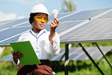 Advanced Professional Certificate in Renewable Energy and Sustainability Management